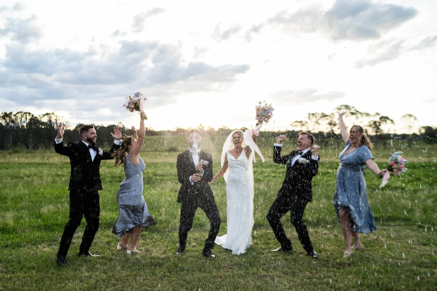 The wedding party celebrating on the lawn