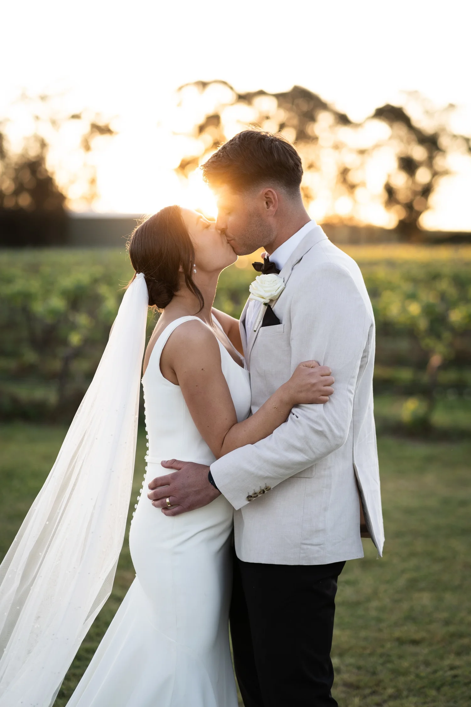 A kiss in the vineyard at sunset