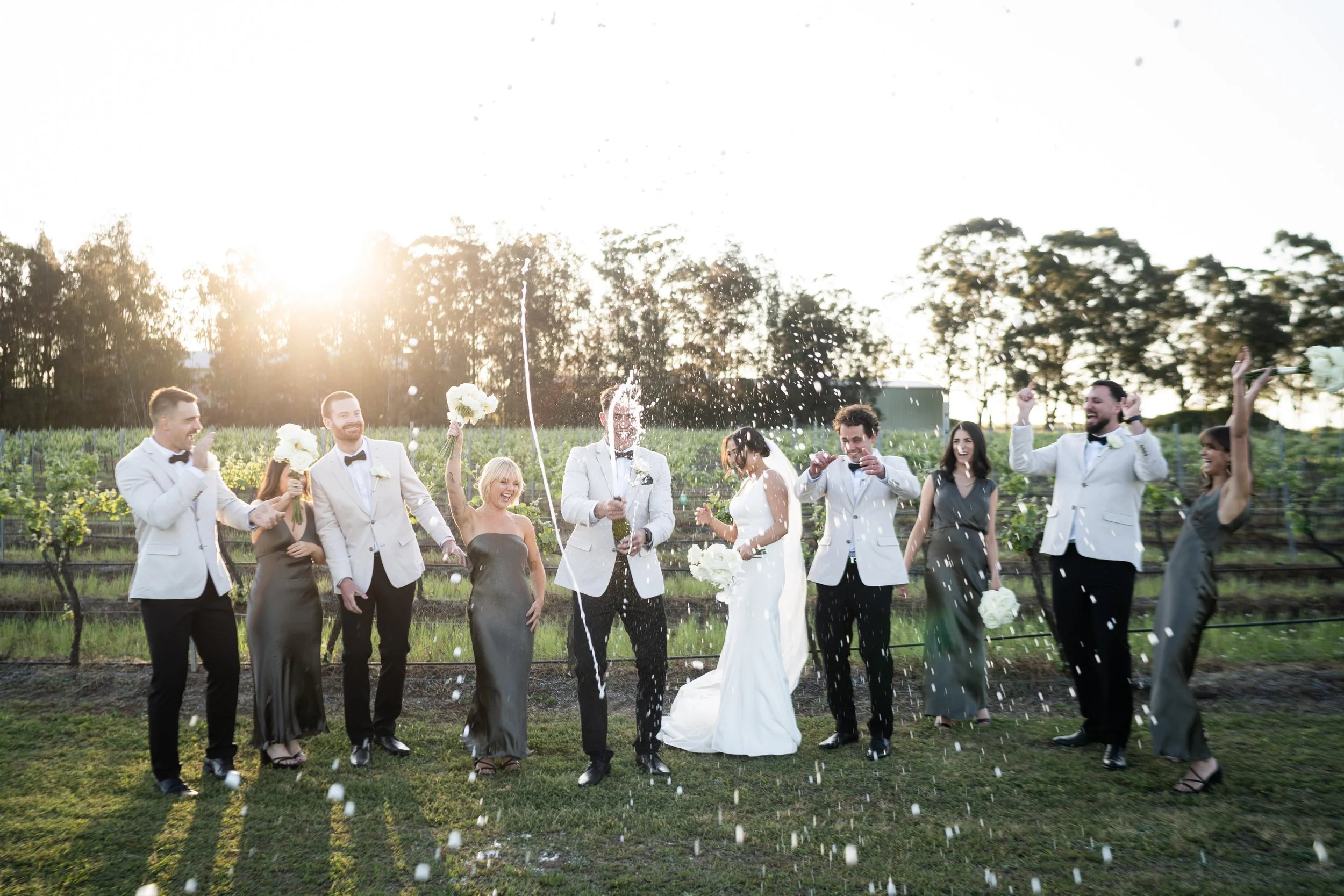 The wedding party in the vineyard at sunset
